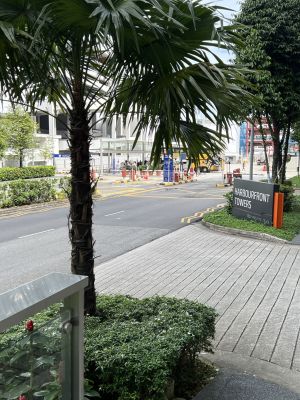 IMG_4576.JPG